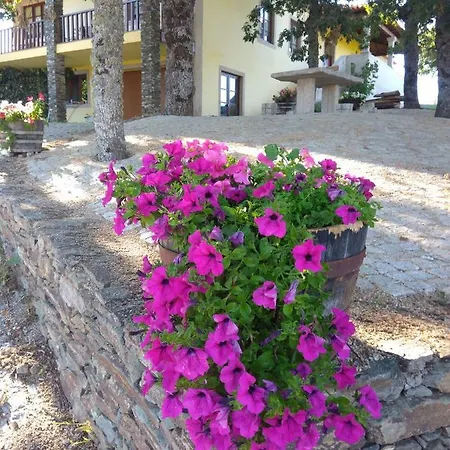 Quinta Do Adil * Macedo de Cavaleiros