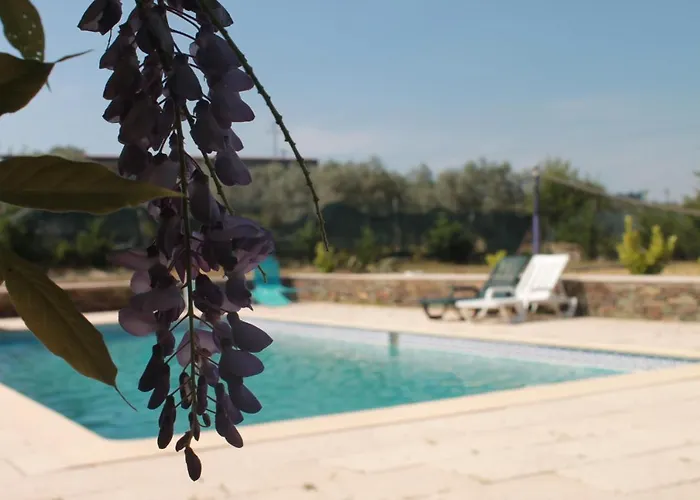 Quinta Do Adil Vakantiehuis Macedo de Cavaleiros