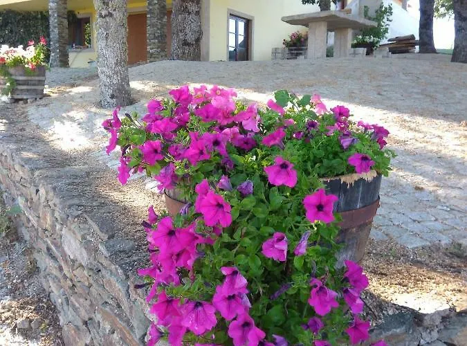 Quinta Do Adil * Macedo de Cavaleiros